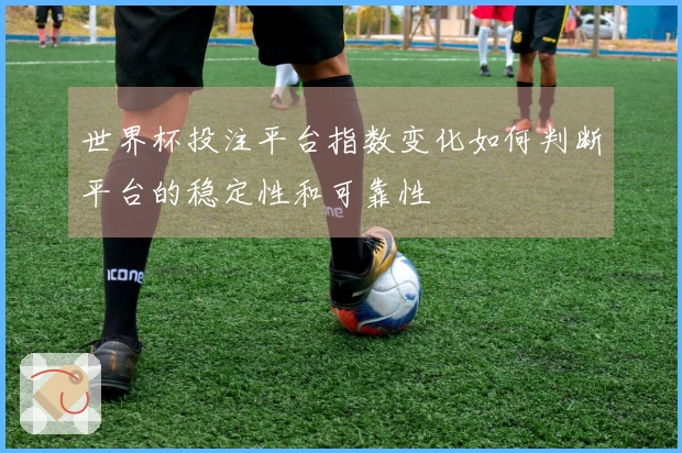 世界杯投注平台指数变化如何判断平台的稳定性和可靠性