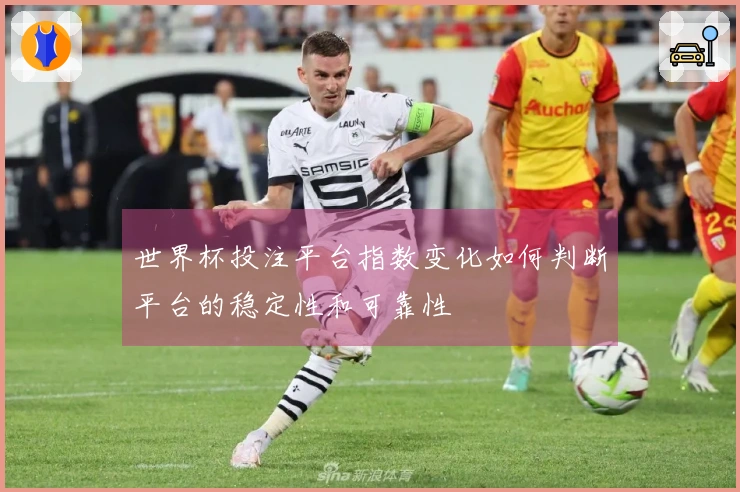 世界杯投注平台指数变化如何判断平台的稳定性和可靠性
